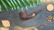 Трубка ручної роботи з дерева бріара 118 мм Freehand KAFpipe №904 briar904 фото 5